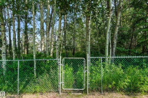 Chain link fence with gate providing property enclosure - #12 64 Blackburn Dr W Sw, Edmonton, AB - Outdoor