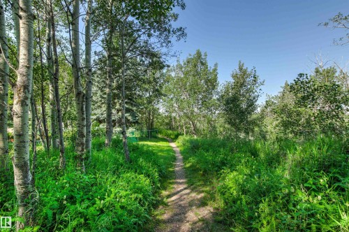 Walking Path featuring a natural pathway, mature trees, and dense foliage - #12 64 Blackburn Dr W Sw, Edmonton, AB - Outdoor