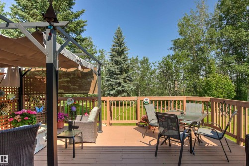 Expansive outdoor deck featuring wood-finish flooring and railing - #12 64 Blackburn Dr W Sw, Edmonton, AB - Outdoor With Deck Patio Veranda With Exterior