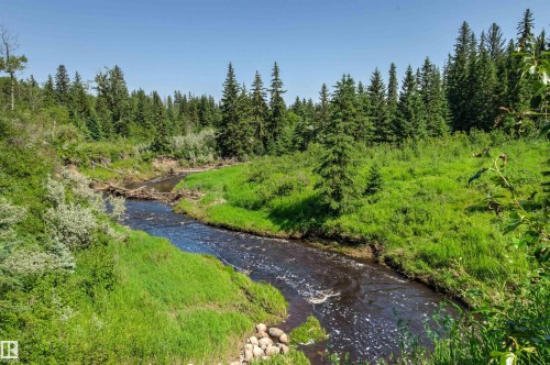 Natural stream bordered by lush green banks and mature evergreen trees - #12 64 Blackburn Dr W Sw, Edmonton, AB - Outdoor With View