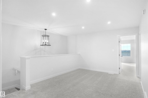 2241 194A Street Nw, Edmonton, AB - Indoor Photo Showing Other Room