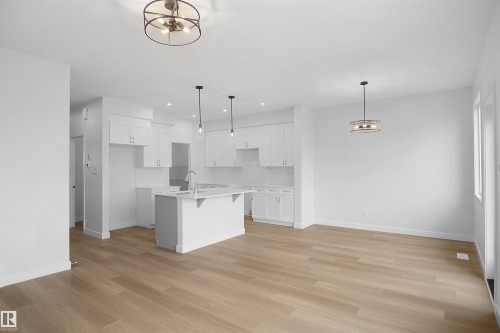 2241 194A Street Nw, Edmonton, AB - Indoor Photo Showing Kitchen With Upgraded Kitchen
