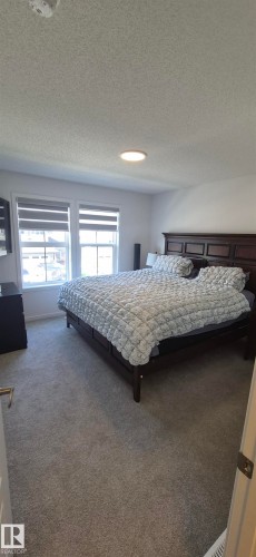 Plush gray carpeting throughout, featuring two large windows with horizontal blinds, and a ceiling-mounted light fixture - 22803 94 Anenue Northwest, Edmonton, AB - Indoor Photo Showing Bedroom