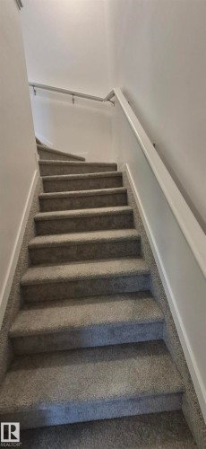 Carpeted staircase with light gray walls, white baseboards, and a white handrail - 22803 94 Anenue Northwest, Edmonton, AB - Indoor Photo Showing Other Room