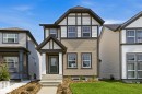 17677 60A Street Nw, Edmonton, AB  - Outdoor With Facade 