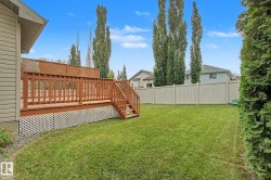 Expansive backyard featuring a stained wood deck with privacy lattice, a full-height privacy fence, mature trees, and a manicured lawn - 