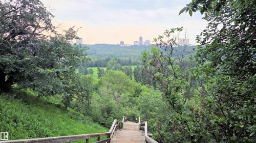 Wood staircase descending through a lush, verdant landscape with extensive tree cover and distant urban skyline - #3 9955 114 St Nw, Edmonton, AB - Outdoor With View