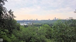 Expansive natural landscape with dense tree coverage, featuring a distant city skyline with high-rise buildings and a prominent bridge structure - 
