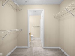 Walk-in closet featuring wire shelving, light beige wall paint, and grey carpeting - 