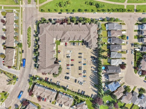 Multi-unit residential property featuring a large central parking area, surrounded by mature perimeter trees and landscaping - #220 245 Edwards Dr Sw, Edmonton, AB - Outdoor With View