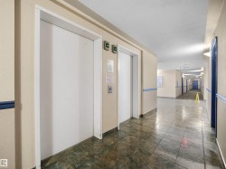 Two white elevator doors with call buttons, set against a cream-colored wall - 