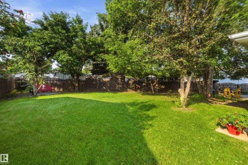 Expansive backyard featuring a lush, manicured lawn anchored by mature shade trees and wooden fencing - 30 Cavanagh Crescent, Stony Plain, AB - Outdoor