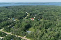Wooded landscape with a lake visible in the background - 