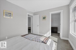 Carpeted room featuring light gray walls and white trim - 