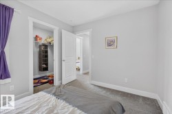 Carpeted room with light grey walls and white trim - 