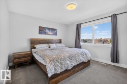 Bright bedroom featuring a large window with white trim, light gray walls, and gray carpet - 