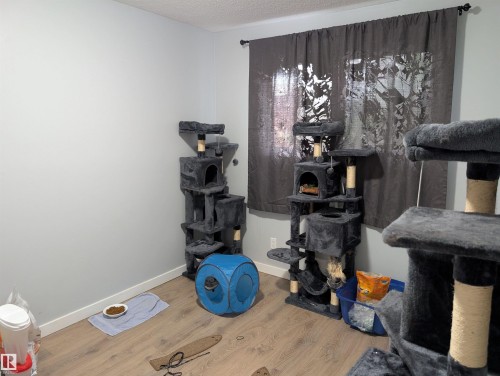 Light gray painted walls pair with wood-finish flooring in this versatile interior space - 14228 22 Street Nw, Edmonton, AB - Indoor Photo Showing Other Room