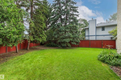 Expansive green lawn with a perimeter red privacy fence - 140 Healy Road Nw, Edmonton, AB - Outdoor