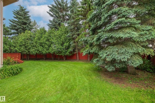 Expansive green lawn with mature evergreen trees and a red stained wood fence - 140 Healy Road Nw, Edmonton, AB - Outdoor