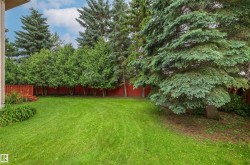 Expansive green lawn with mature evergreen trees and a red stained wood fence - 