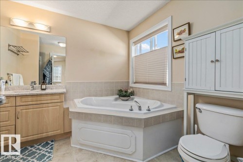 306 Hilliard Close Nw, Edmonton, AB - Indoor Photo Showing Bathroom