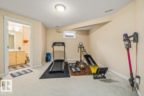 306 Hilliard Close Nw, Edmonton, AB - Indoor Photo Showing Gym Room