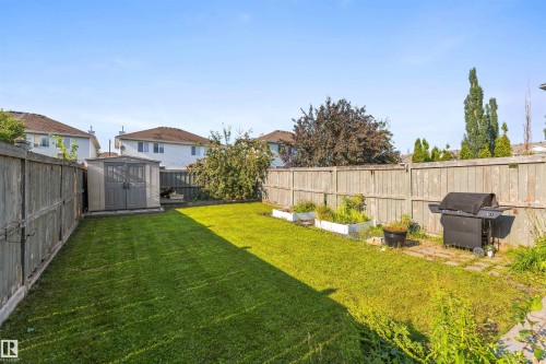 20032 53A Avenue Nw, Edmonton, AB - Outdoor With Backyard