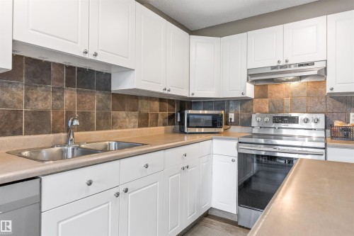 20032 53A Avenue Nw, Edmonton, AB - Indoor Photo Showing Kitchen With Double Sink
