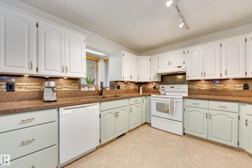 6212 179 Street Nw, Edmonton, AB - Indoor Photo Showing Kitchen With Double Sink
