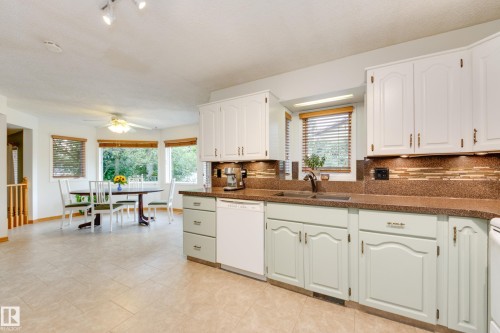 6212 179 Street Nw, Edmonton, AB - Indoor Photo Showing Kitchen With Double Sink