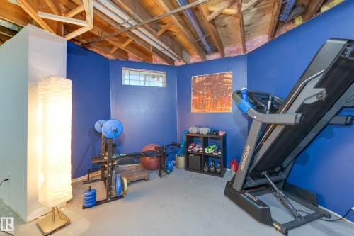 6212 179 Street Nw, Edmonton, AB - Indoor Photo Showing Basement