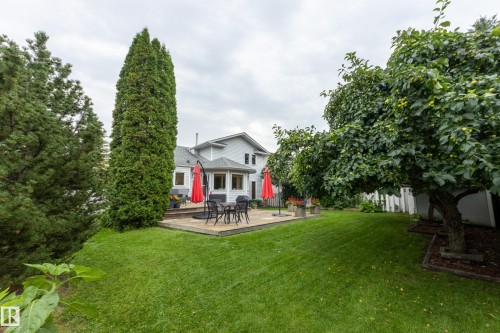 6212 179 Street Nw, Edmonton, AB - Outdoor With Deck Patio Veranda