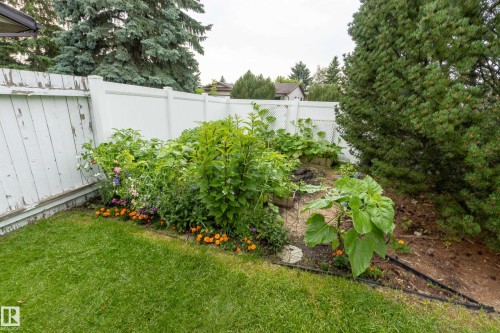 6212 179 Street Nw, Edmonton, AB - Outdoor