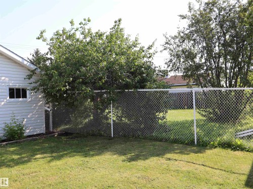 Expansive grassy yard area featuring a chain link fence and mature trees - 4306 - 55 Ave, Barrhead, AB - Outdoor