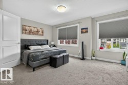 Carpeted bedroom featuring a light gray color palette, white trim, and two large windows with roller shades - 