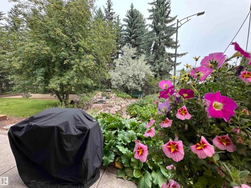 2340 28 Avenue Sw, Edmonton, AB - Outdoor