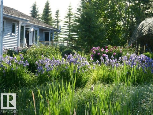 2340 28 Avenue Sw, Edmonton, AB - Outdoor
