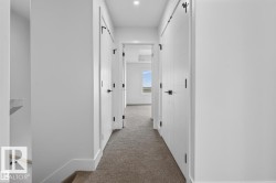 Carpeted hallway featuring multiple white paneled doors with matte black hardware - 