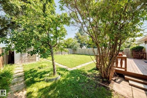 Expansive backyard featuring a central lawn, mature trees, wood privacy fencing, and a multi-level wood deck - 6208 11 Ave Nw Nw, Edmonton, AB - Outdoor