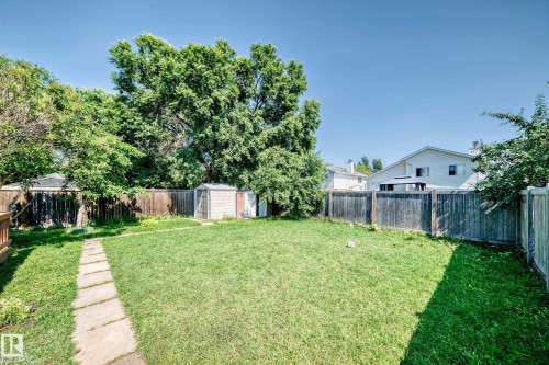 Expansive lawn area featuring a stone paver pathway, mature trees, and a wooden privacy fence - 6208 11 Ave Nw Nw, Edmonton, AB - Outdoor With Backyard