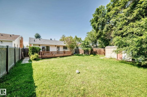 Expansive grassy backyard featuring a wood fence perimeter, mature trees, and a ground-level wood deck - 6208 11 Ave Nw Nw, Edmonton, AB - Outdoor With Deck Patio Veranda