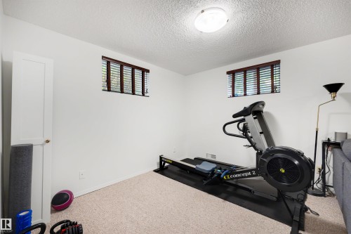Carpeted room with white walls, two windows featuring dark wood blinds, and a built-in white door - 10732 129 Street Nw, Edmonton, AB - Indoor Photo Showing Gym Room