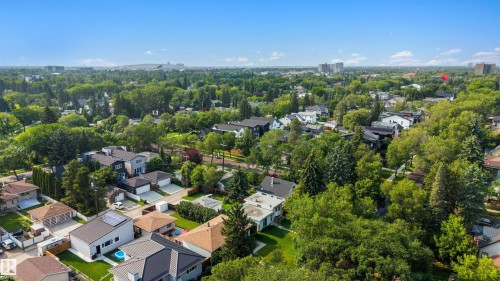 Aerial perspective showcasing a residential area with mature trees and varied architectural styles - 10732 129 Street Nw, Edmonton, AB - Outdoor With View
