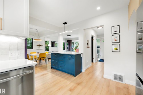 Modern kitchen and dining area featuring a prominent blue island with white countertop, light wood-finish flooring, white cabinetry, and stainless steel appliances - 10732 129 Street Nw, Edmonton, AB - Indoor Photo Showing Kitchen