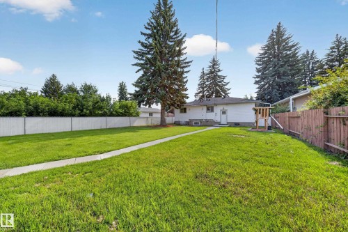 Expansive backyard featuring a large lawn, mature evergreen trees, and a concrete pathway leading to the white exterior of the home - 5204 97A Avenue Nw, Edmonton, AB - Outdoor