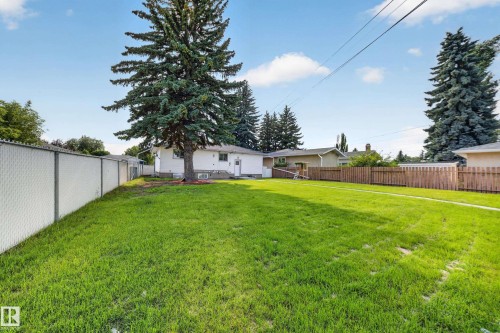 Expansive green lawn with mature evergreen trees and a white chain-link fence - 5204 97A Avenue Nw, Edmonton, AB - Outdoor With Backyard