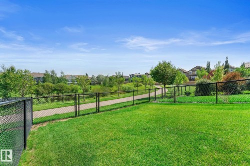 Expansive green lawn bordered by a black chain-link fence, offering direct access to a paved walking path - 3413 Cameron Heights Cove Nw, Edmonton, AB - Outdoor