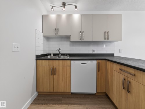10136 81 Street Nw, Edmonton, AB - Indoor Photo Showing Kitchen With Double Sink