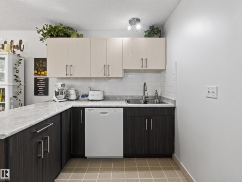 10136 81 Street Nw, Edmonton, AB - Indoor Photo Showing Kitchen With Double Sink