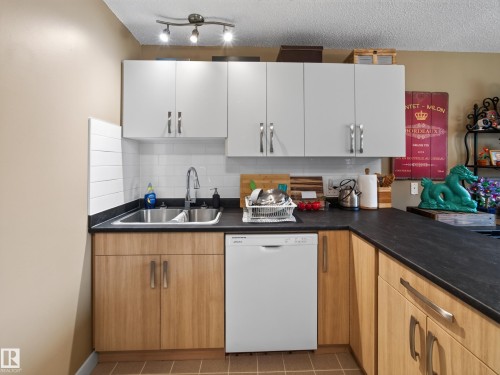 10136 81 Street Nw, Edmonton, AB - Indoor Photo Showing Kitchen With Double Sink